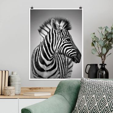 Posters Zebra Baby Portrait II