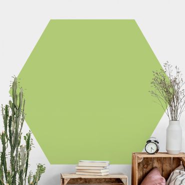 Hexagon Behang Colour Spring Green