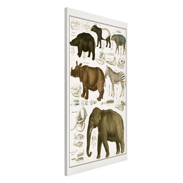 Magneetborden Vintage Board Elephant, Zebra And Rhino