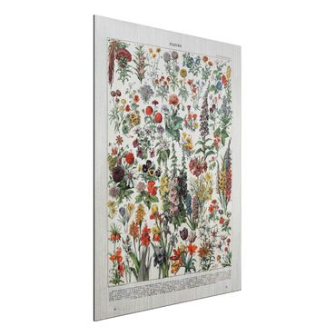 Aluminium Dibond schilderijen Vintage Board Flowers IV