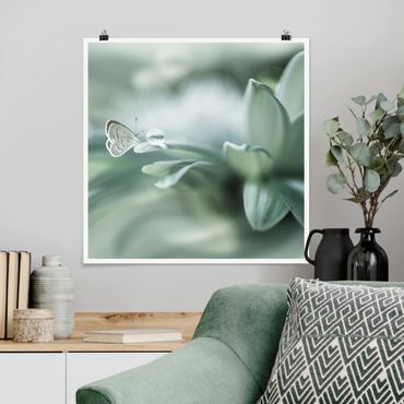 Posters Butterfly And Dew Drops In Pastel Green