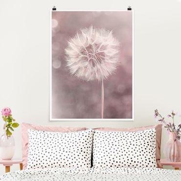 Posters Dandelion Bokeh Light Pink