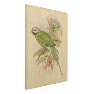 Houten schilderijen Vintage Illustration Tropical Birds II