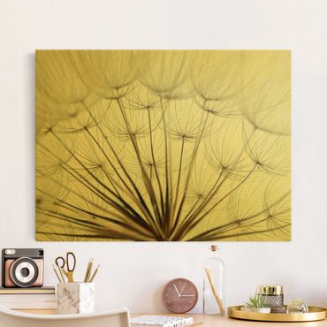 Canvas schilderijen - Goud Beautiful Dandelion Macro Shot