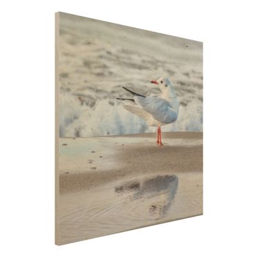 Houten schilderijen Seagull On The Beach In Front Of The Sea