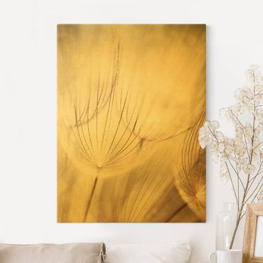 Canvas schilderijen - Goud Dandelions Close-Up In Cozy Sepia Tones