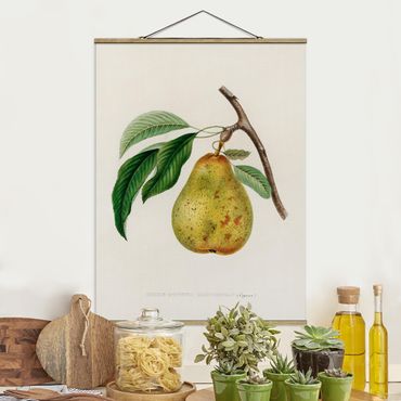 Stoffen schilderij met posterlijst Botany Vintage Illustration Yellow Pear