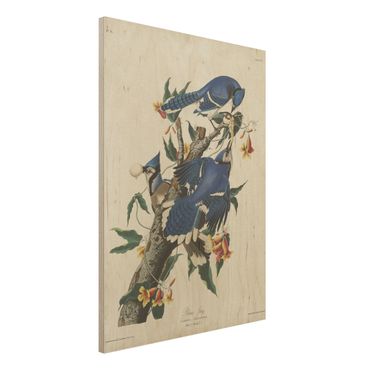Houten schilderijen Vintage Board Blue Jays