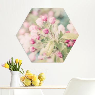 Hexagons Forex schilderijen Apple Blossom Pink Bokeh