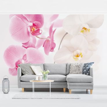 Fotobehang Delicate Orchids