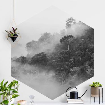 Hexagon Behang Jungle In The Fog Black And White