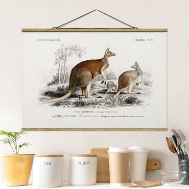Stoffen schilderij met posterlijst Vintage Board Kangaroo