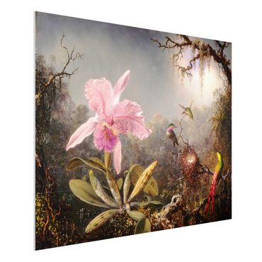 Forex schilderijen Martin Johnson Heade - Orchid And Three Hummingbirds
