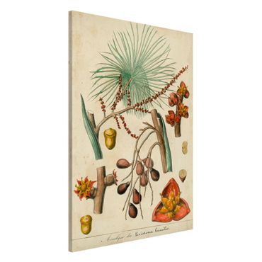 Magneetborden Vintage Board Exotic Palms III