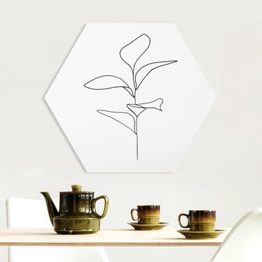 Hexagons Forex schilderijen Line Art Plant Leaves Black And White