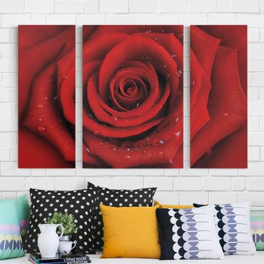 Canvas schilderijen - 3-delig Red Rose With Water Drops
