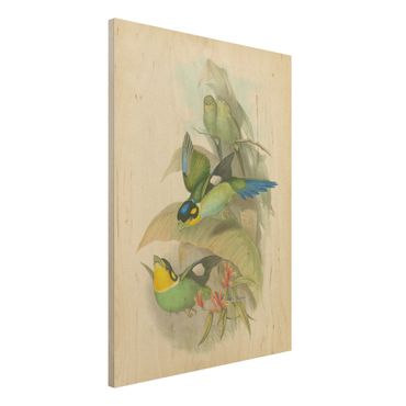 Houten schilderijen Vintage Illustration Tropical Birds