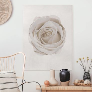 Canvas schilderijen WaterColours - Pretty White Rose