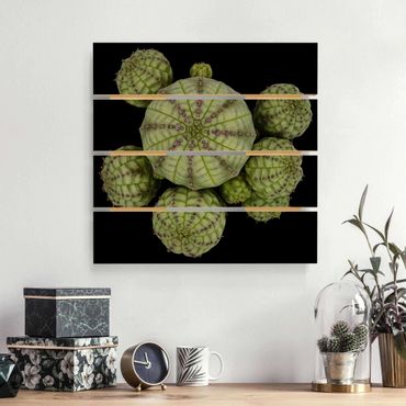 Houten schilderijen op plank Euphorbia - Spurge Urchins