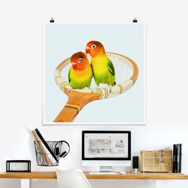 Posters Tennis With Birds