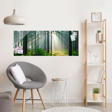 Glasschilderijen Enlightened Forest