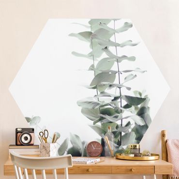 Hexagon Behang Eucalyptus In White Light
