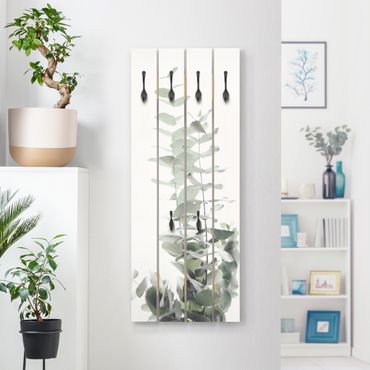 Wandkapstokken houten pallet Eucalyptus In White Light