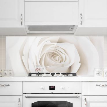 Spatscherm keuken Pretty White Rose