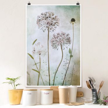 Posters Allium flowers in pastel