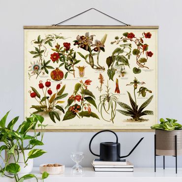 Stoffen schilderij met posterlijst Vintage Board Tropical Botany II