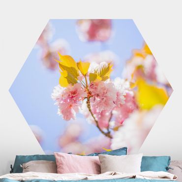 Hexagon Behang Colourful Cherry Blossoms