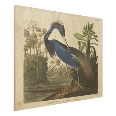 Houten schilderijen Vintage Board Louisiana Heron