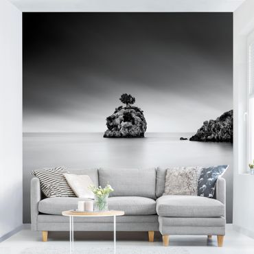 Fotobehang Rocky Island In The Sea Black And White