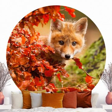 Behangcirkel Fox In Autumn