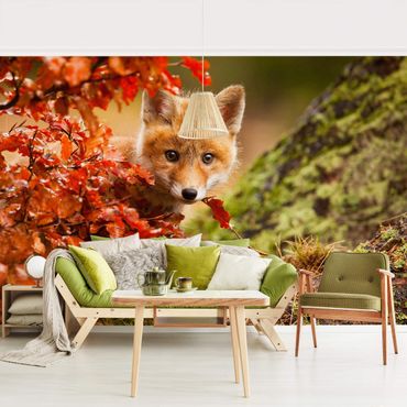 Fotobehang Fox In Autumn