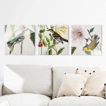 Glasschilderijen - 3-delig Birds On Linen Set I