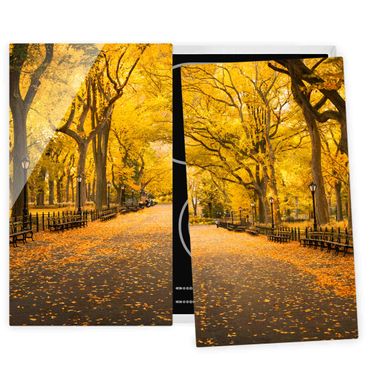 Kookplaat afdekplaten Autumn In Central Park