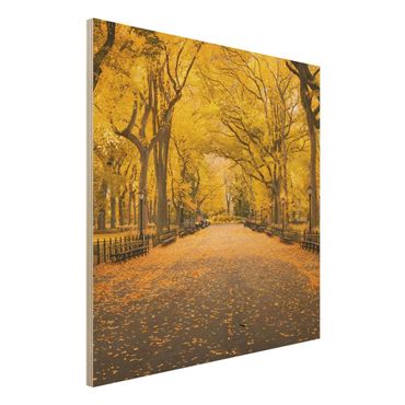 Houten schilderijen Autumn In Central Park