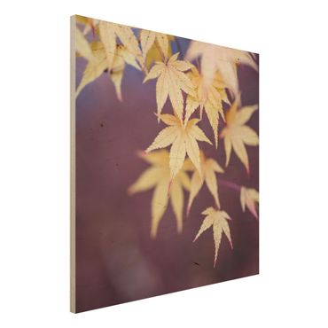 Houten schilderijen Autumn Maple Tree