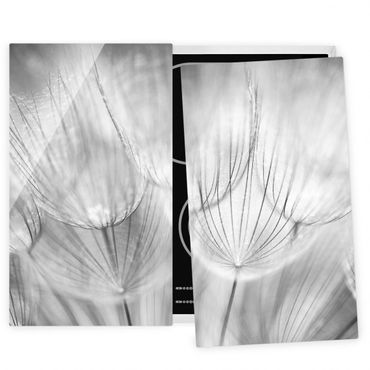 Kookplaat afdekplaten Dandelions Macro Shot In Black And White