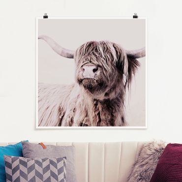Posters Highland Cattle Frida In Beige