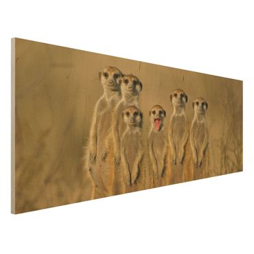 Houten schilderijen Meerkat Family