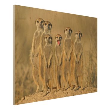 Houten schilderijen Meerkat Family