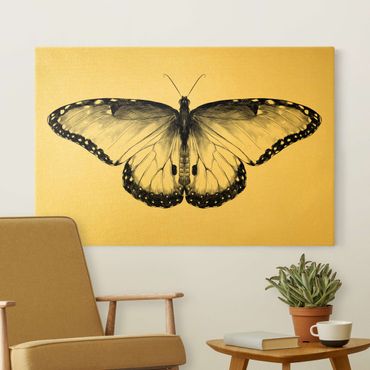 Canvas schilderijen - Illustration Flying Common Morpho Black
