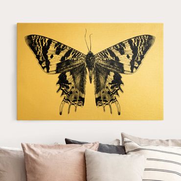 Canvas schilderijen - Illustration Flying Madagascan Butterfly