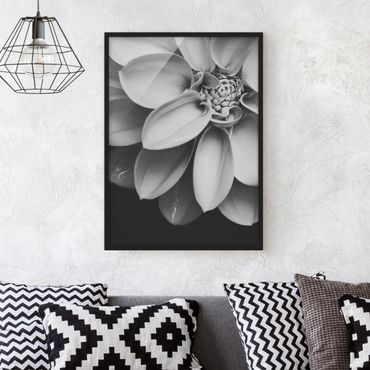 Ingelijste posters In The Heart Of A Dahlia Black And White