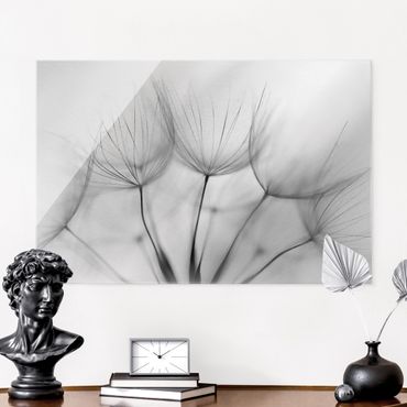 Glasschilderijen Inside A Dandelion Black And White