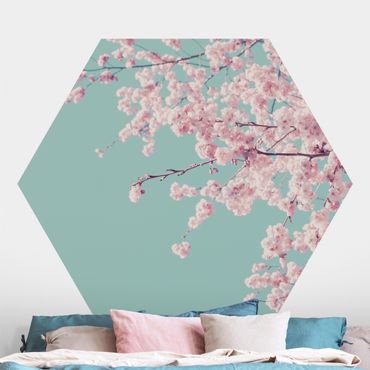 Hexagon Behang Japanese Cherry Blossoms