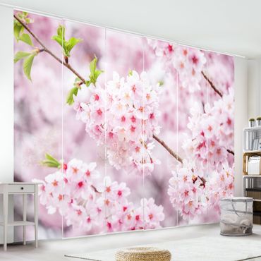 Schuifgordijnen Japanese Cherry Blossoms
