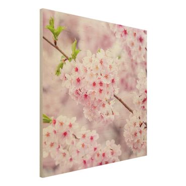 Houten schilderijen Japanese Cherry Blossoms